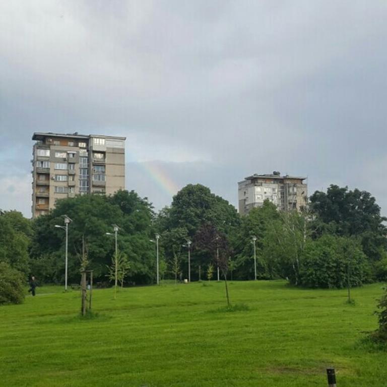 дизайн в парк *